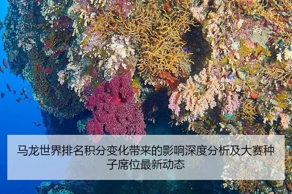 马龙世界排名积分变化带来的影响深度分析及大赛种子席位最新动态